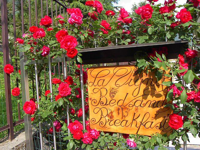 Ingresso - Bed and Breakfast La Vigna - Primaluna